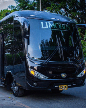 LimoBus